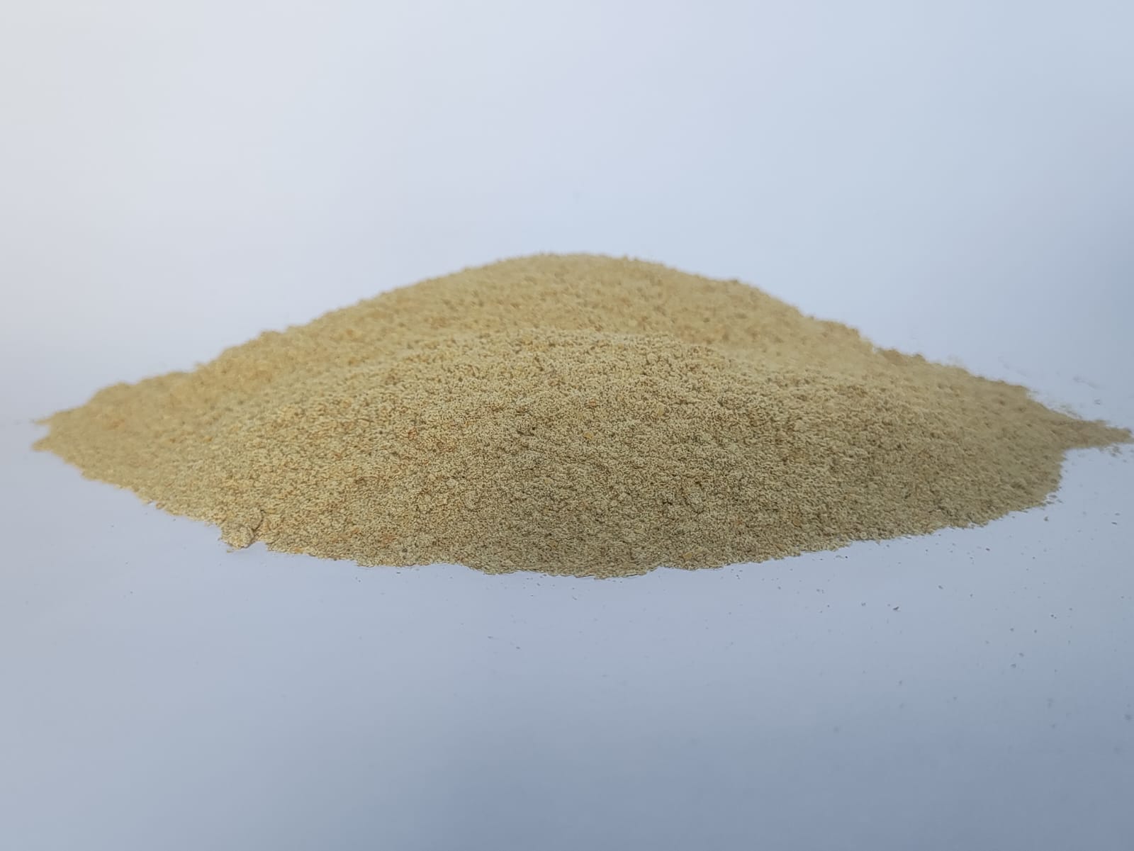 WhatsApp Image 2025-11-25 at 11.33.21_f5765f0d