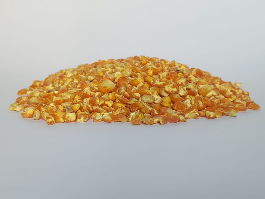 WhatsApp Image 2025-11-25 at 11.33.22_15078783