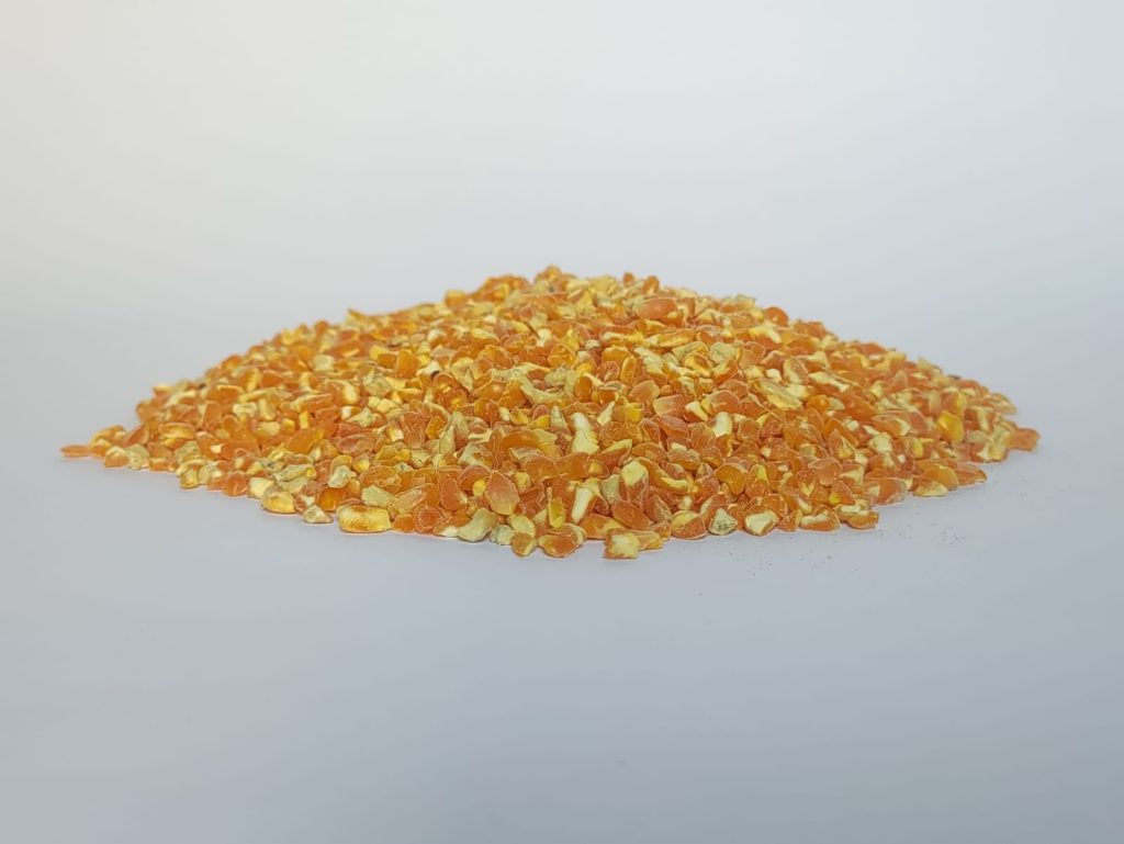 WhatsApp Image 2025-11-25 at 11.33.22_d6b8ca54