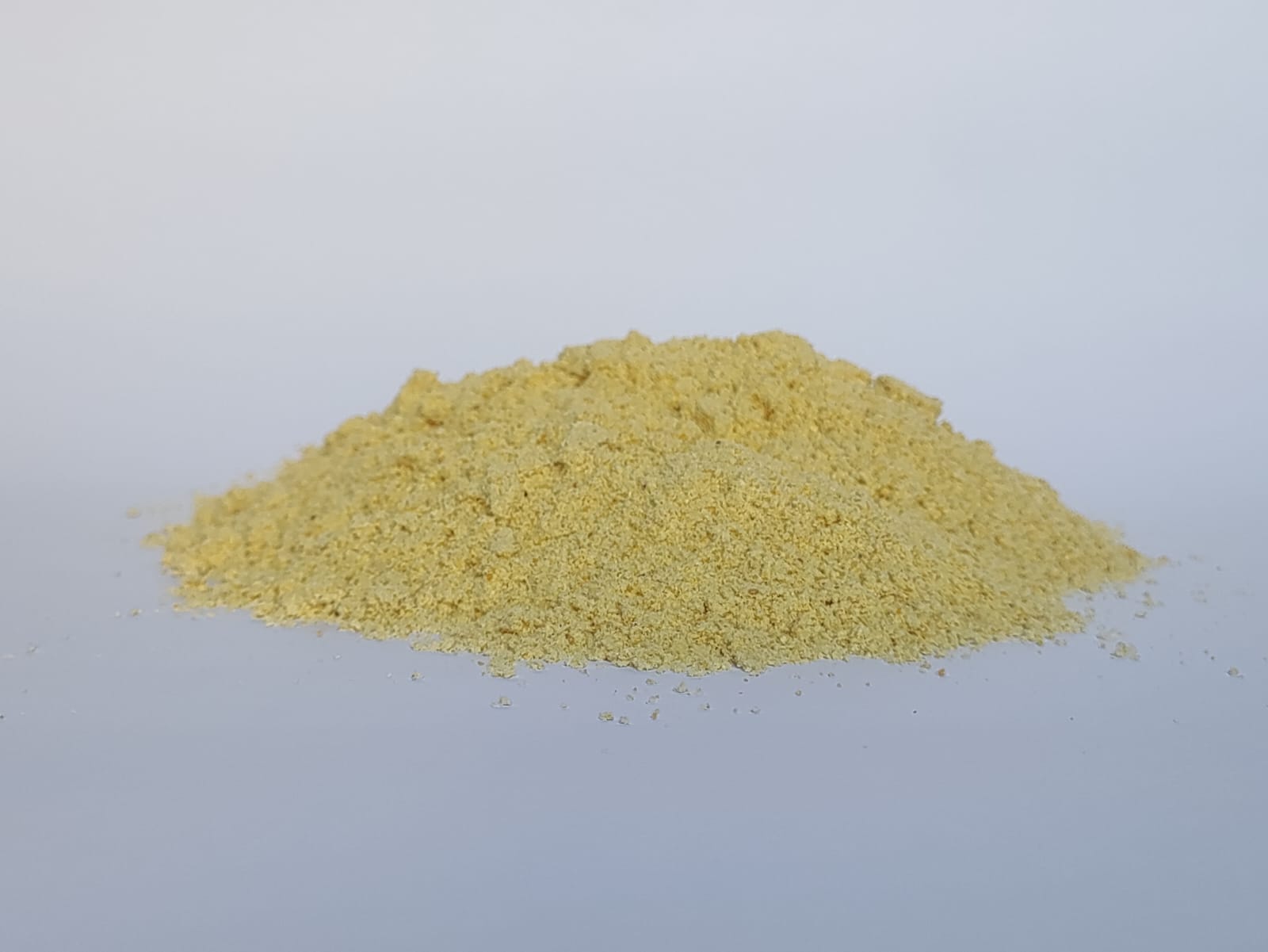 WhatsApp Image 2025-11-25 at 11.33.23_c944d5dc