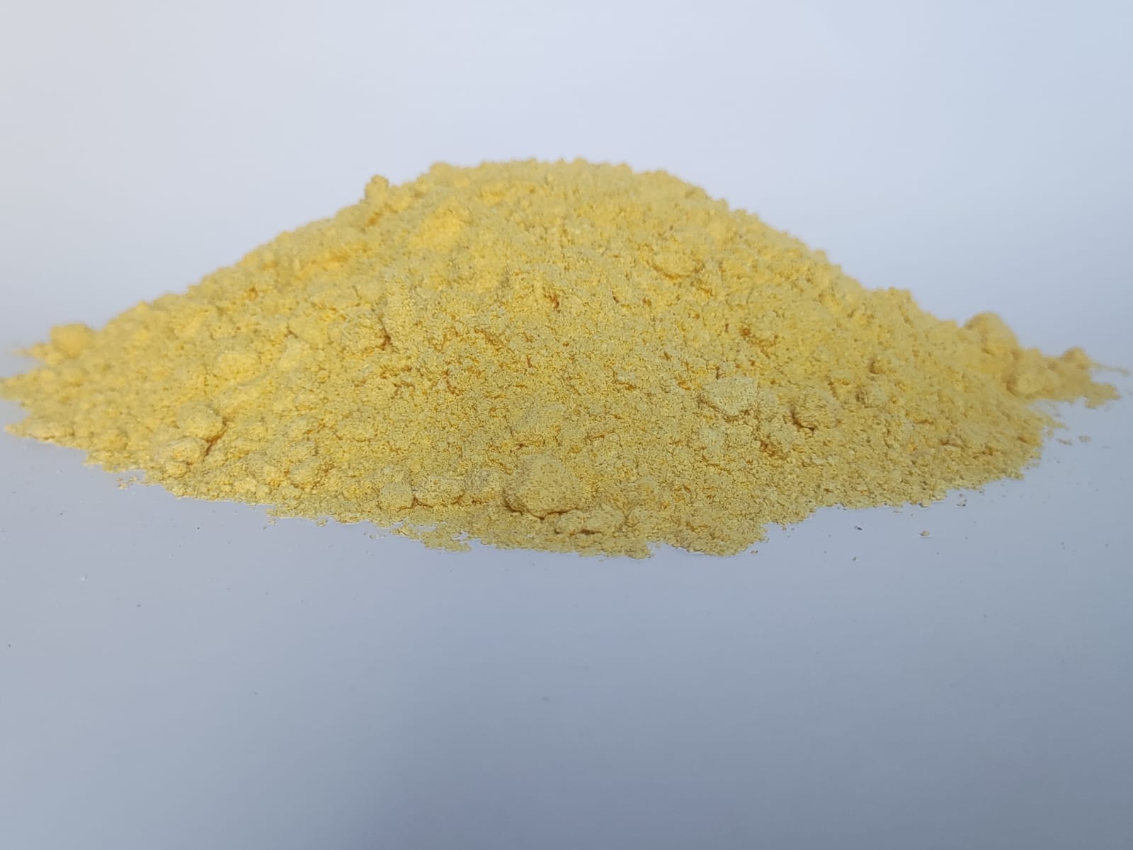 WhatsApp Image 2025-11-25 at 11.33.23_f539f5fd